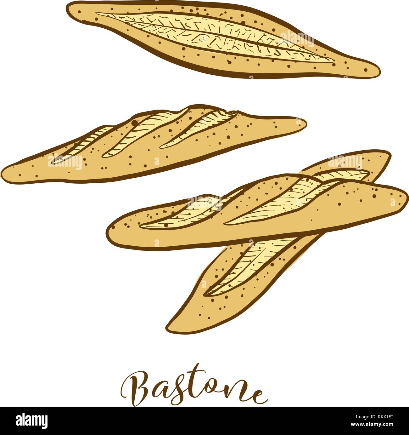 Colored sketches of Bastone bread. Vector drawing of Yeast bread food, usually known in Italy. Colored Bread illustration series. Stock Vector