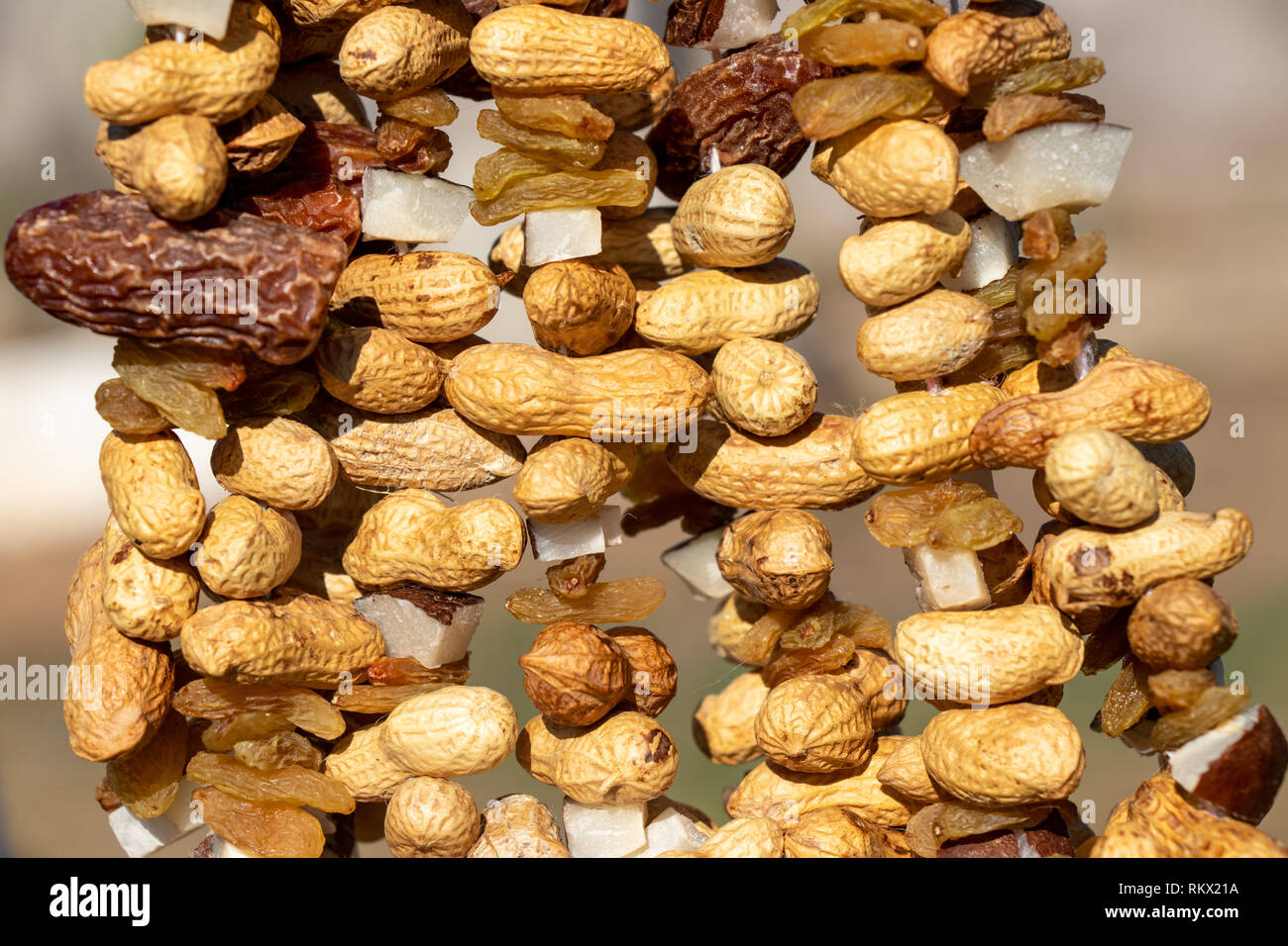 Groundnuts Peanuts Prunes Dates Dried Currant Raisin dry fruits Stock Photo Alamy
