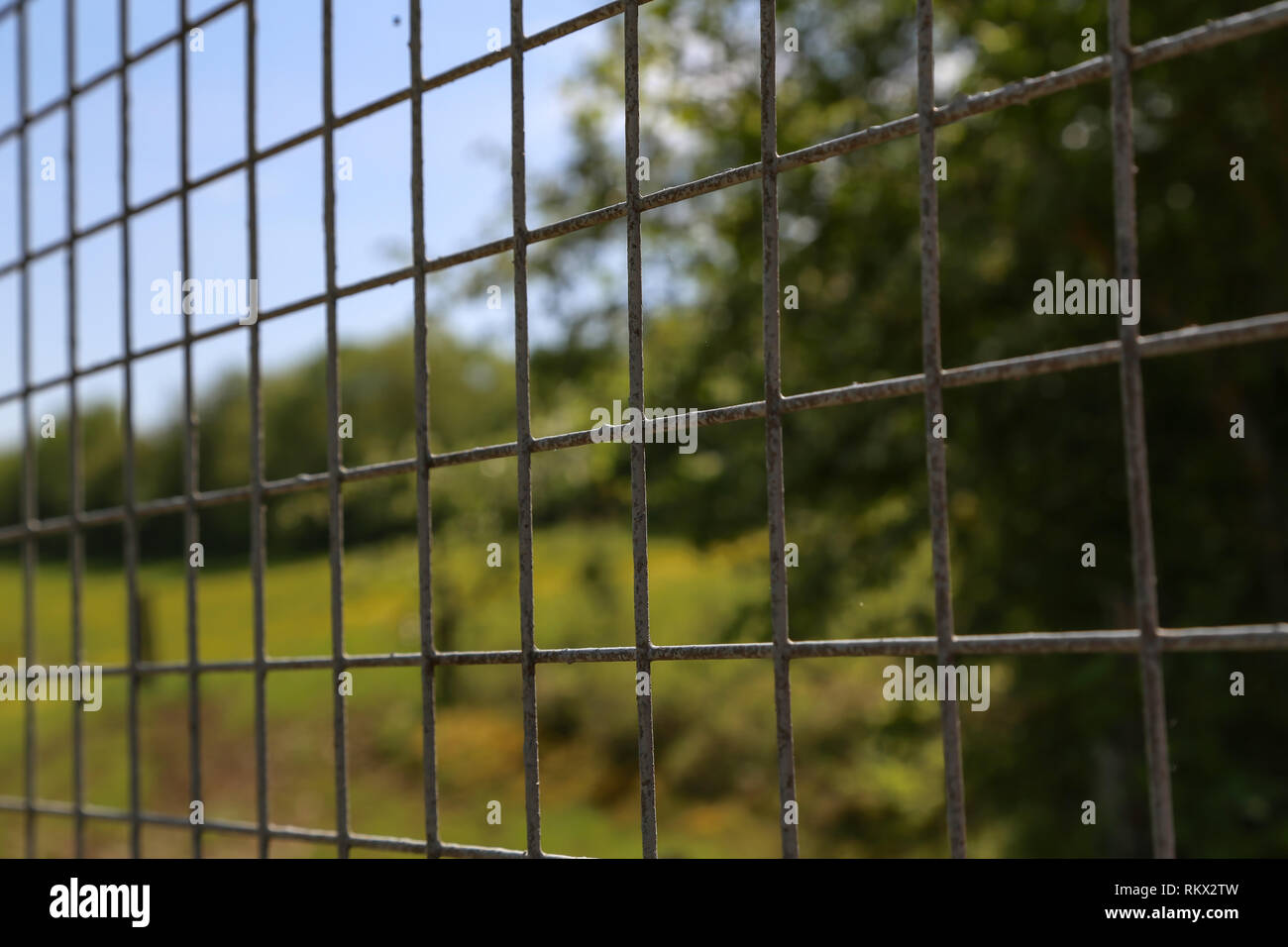 Closeup of grey mesh fence Stock Photo