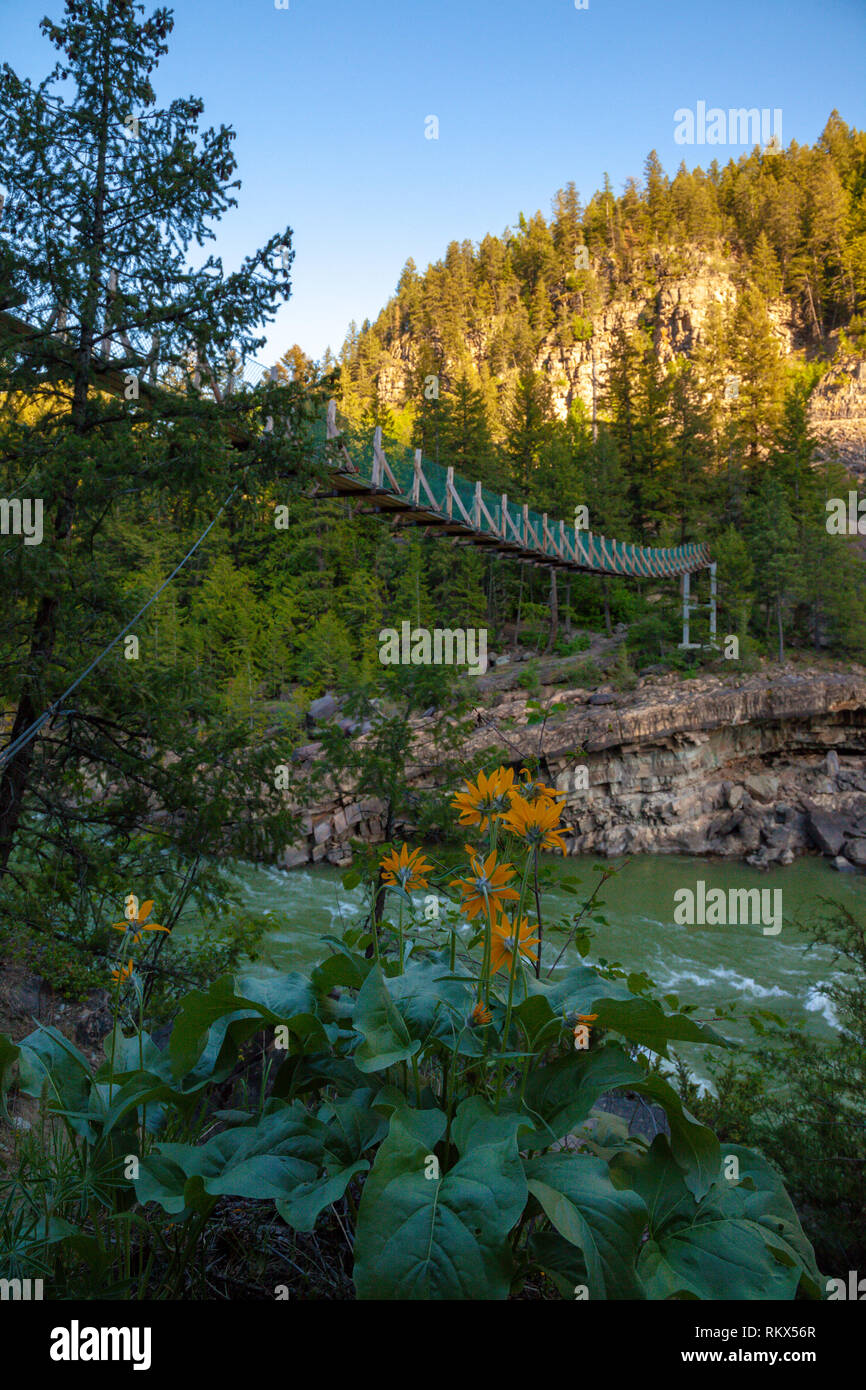 Kootenai falls swinging bridge hires stock photography and images Alamy