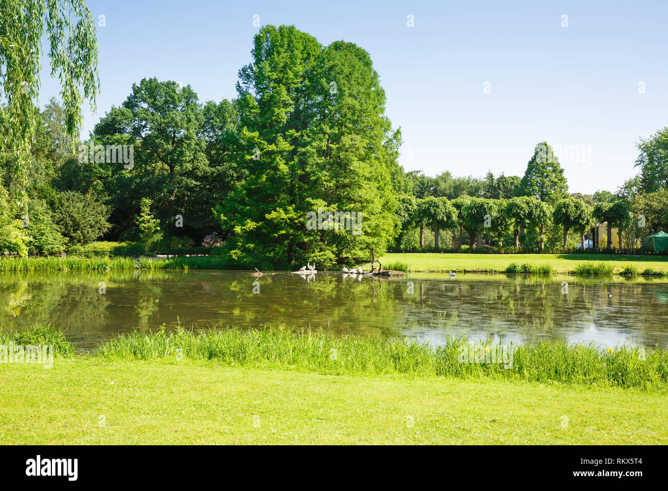 Hammersbach Landscape with lake, birds and trees in Hamburg, Germany Stock Photo ...