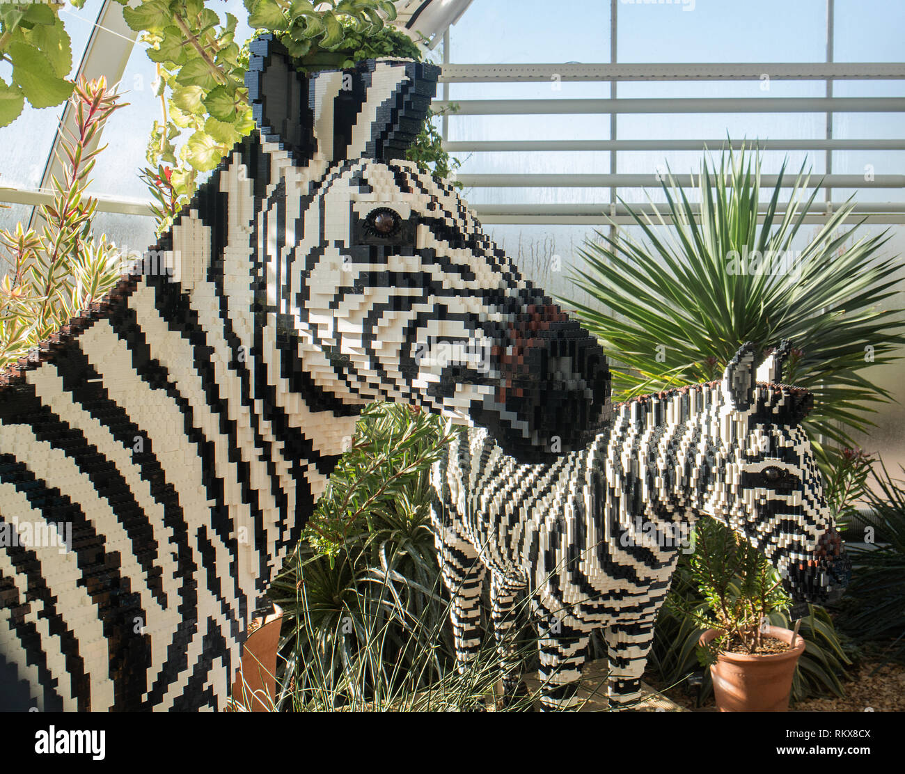 lego zebra
