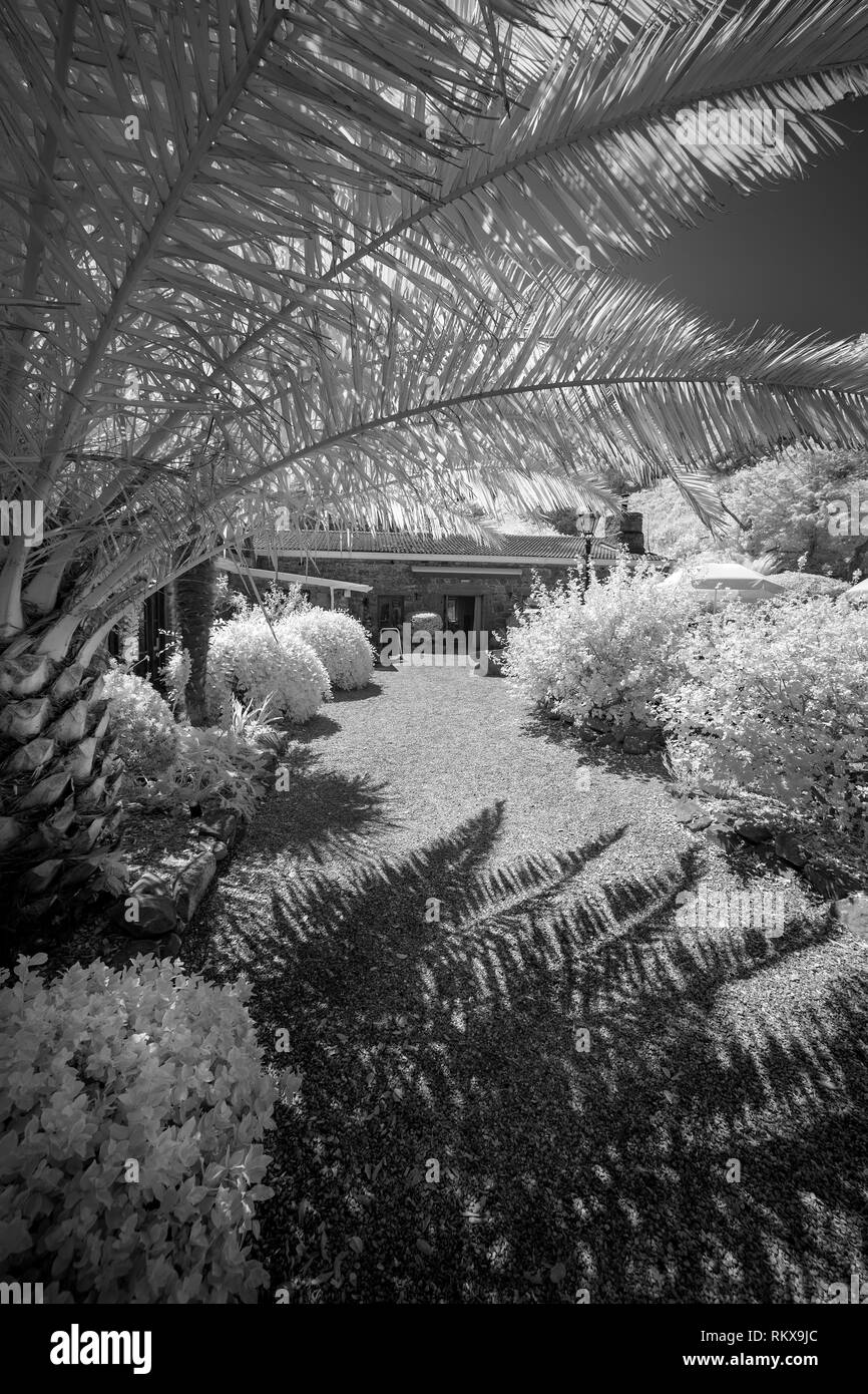 An Infrared Monochrome image of the Old Barn Resteraunt and Off-Licence gardens on Alderney, Channel Isands. Stock Photo