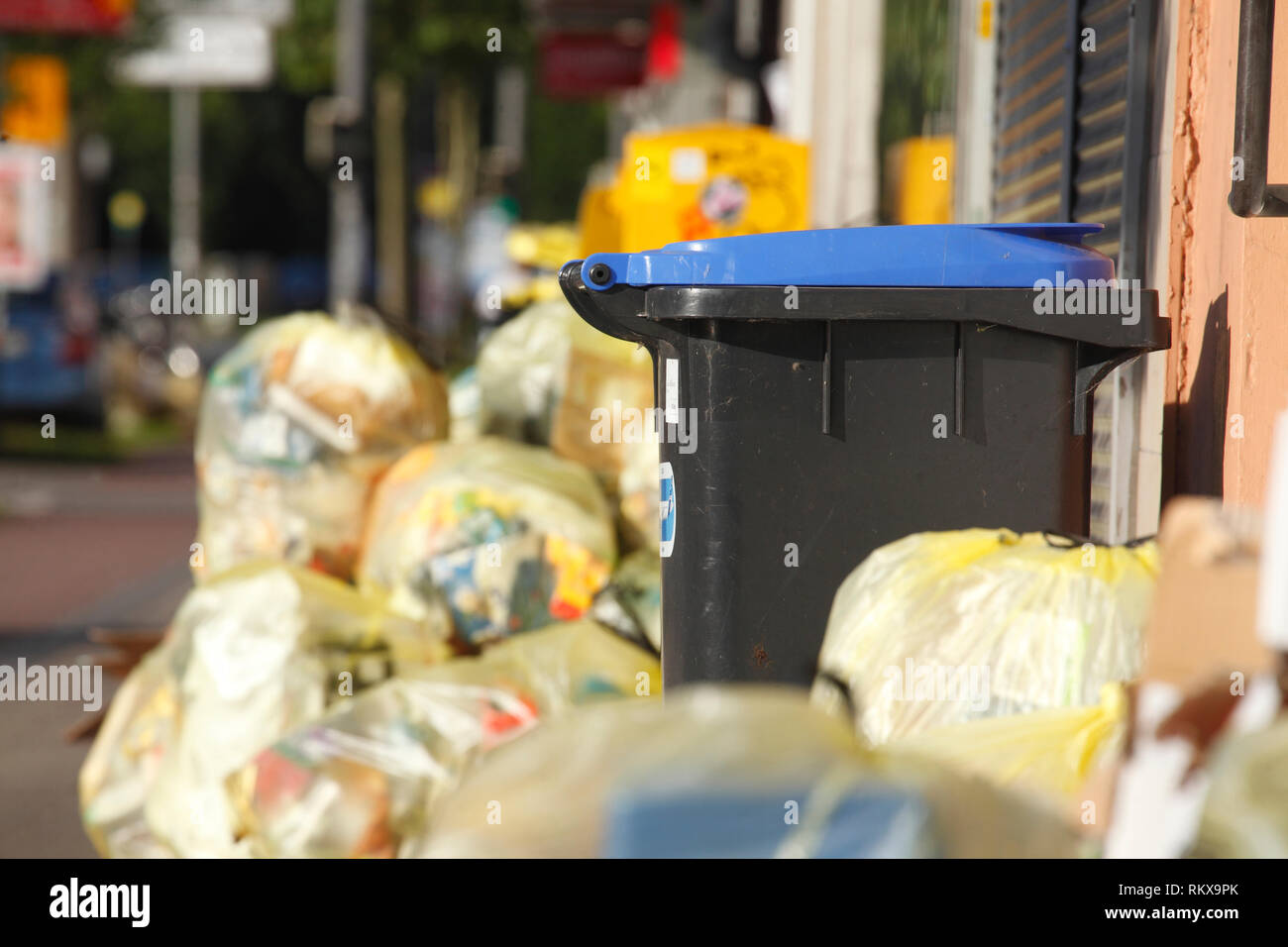 Blue bin, recycling bin for paper waste and yellow bags for plastic garbage, Bremen, Germany I