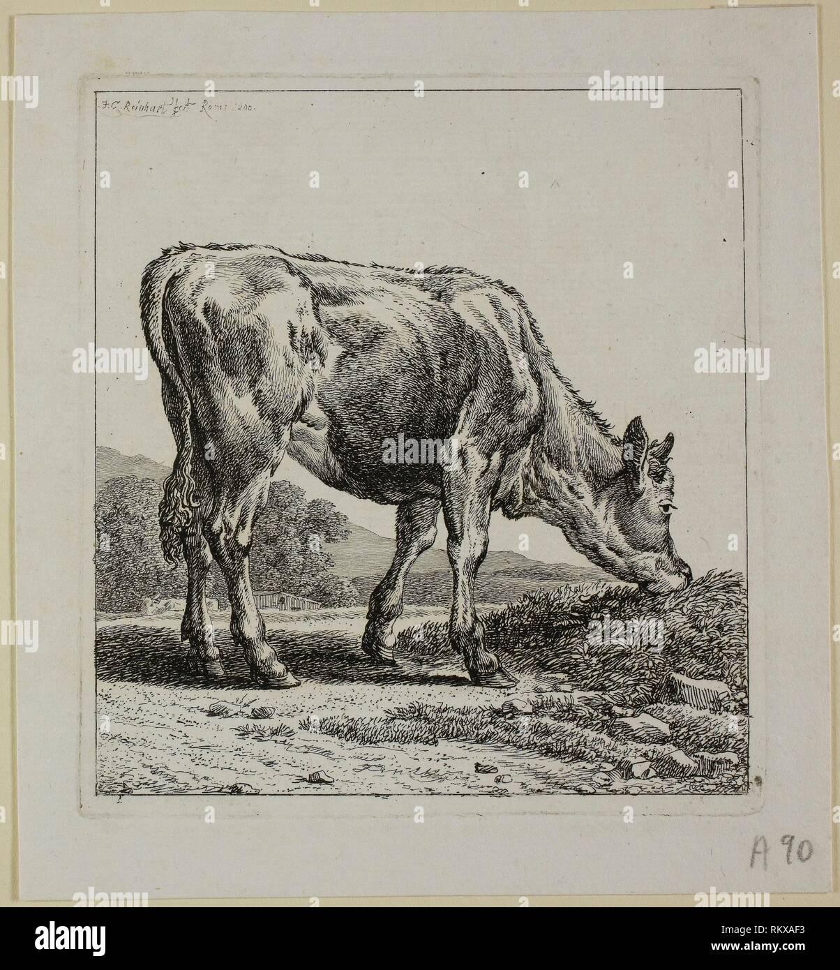 Calf Feeding, from Die Zweite Thierfolge - 1800 - Johann Christian Reinhart German, 1761-1847 - Artist: Johann Christian Reinhart, Origin: Germany, Stock Photo