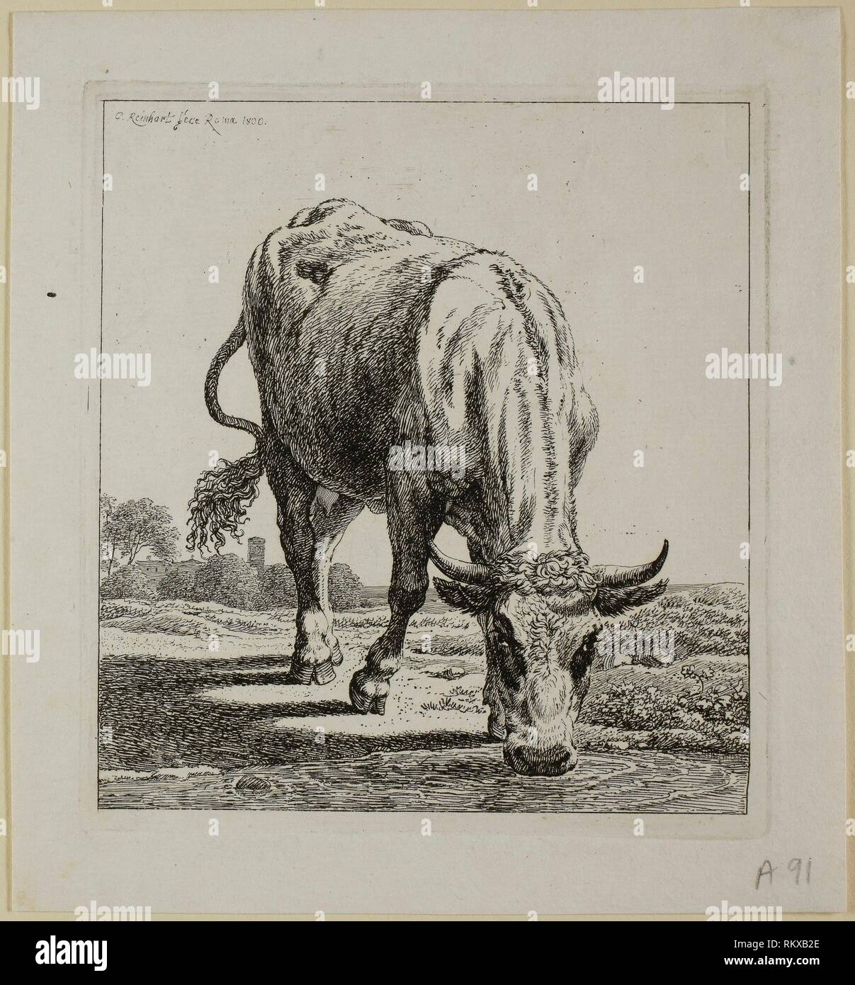 Cow Drinking, from Die Zweite Thierfolge - 1800 - Johann Christian Reinhart German, 1761-1847 - Artist: Johann Christian Reinhart, Origin: Germany, Stock Photo