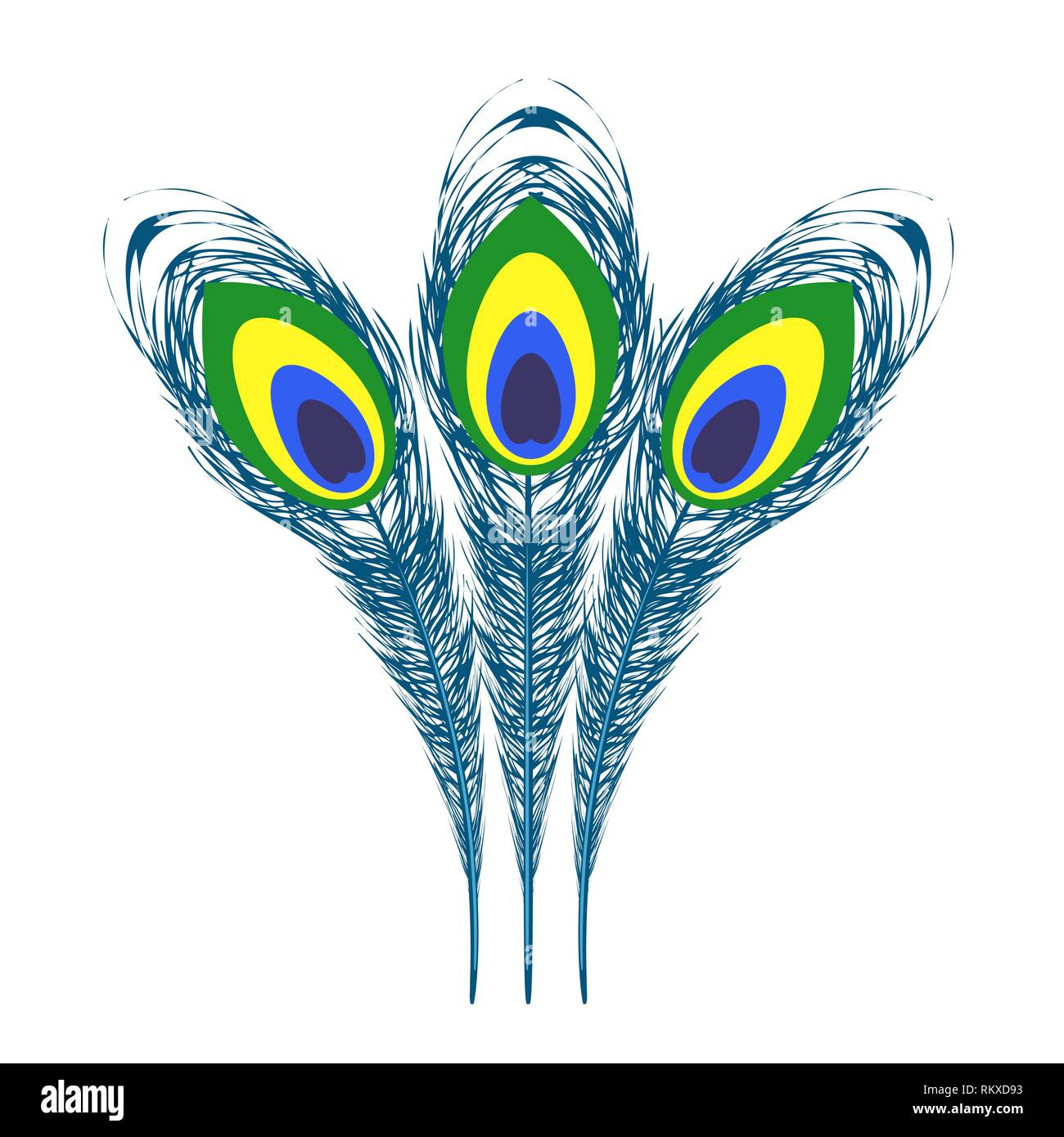 Set of Colorful Peacock Feathers Stock Vector