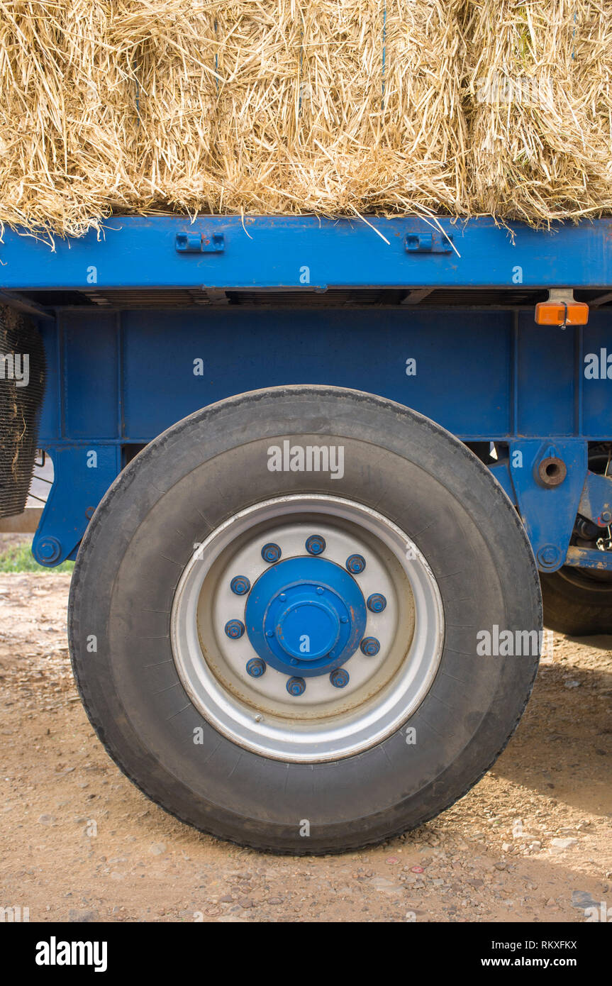 Heavy trailer truck loaded with straw bales. Closeup Stock Photo