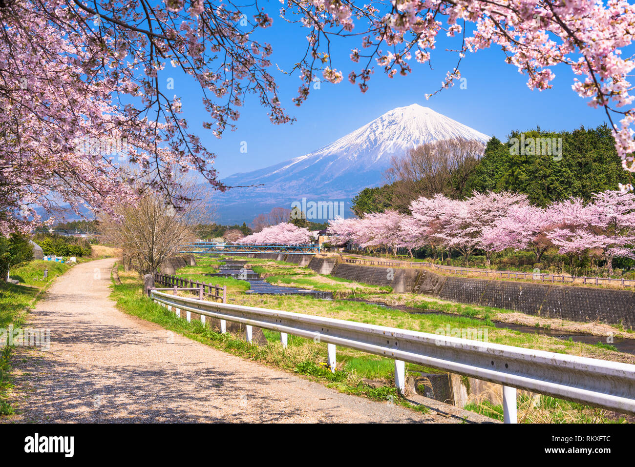 Mt. Fuji viewed from rural Shizuoka Prefecture in spring season. Stock Photo