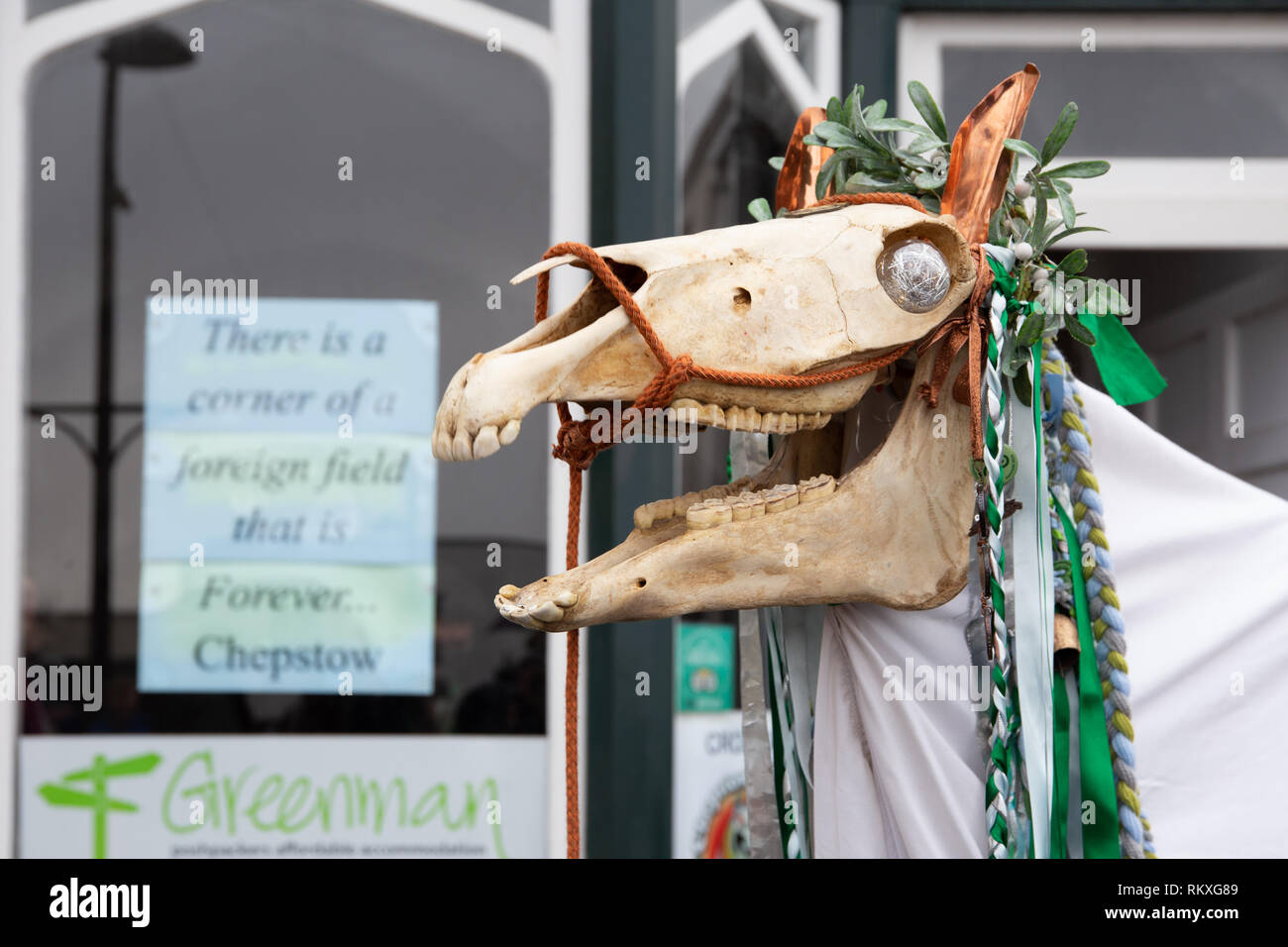 Horse's head decorated for the Mari Lwyd event Chepstow 2019 against a poster. Stock Photo