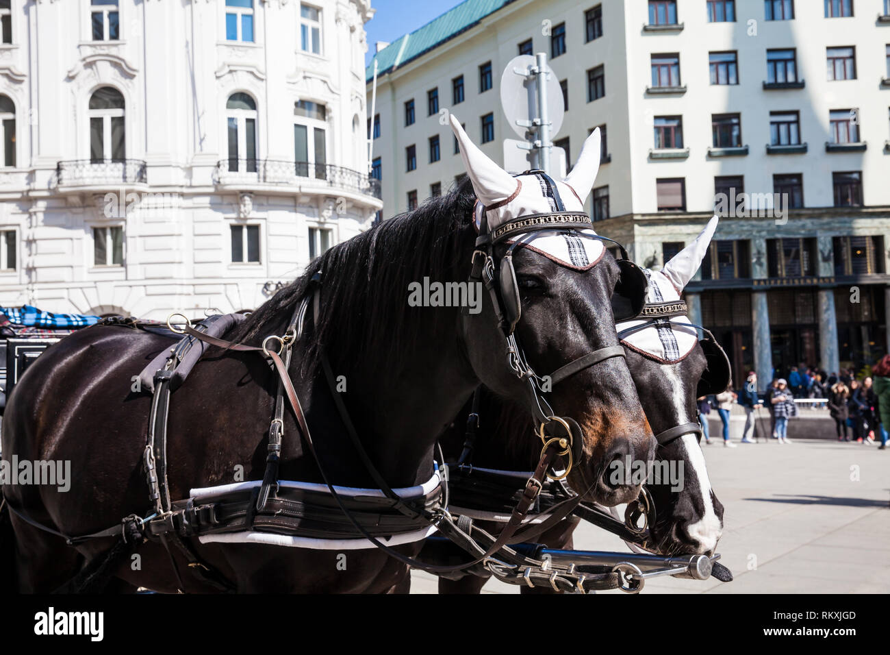 Horse-drawn carriage in front of the Hofburg Imperial Palace in Vienna Stock Photo