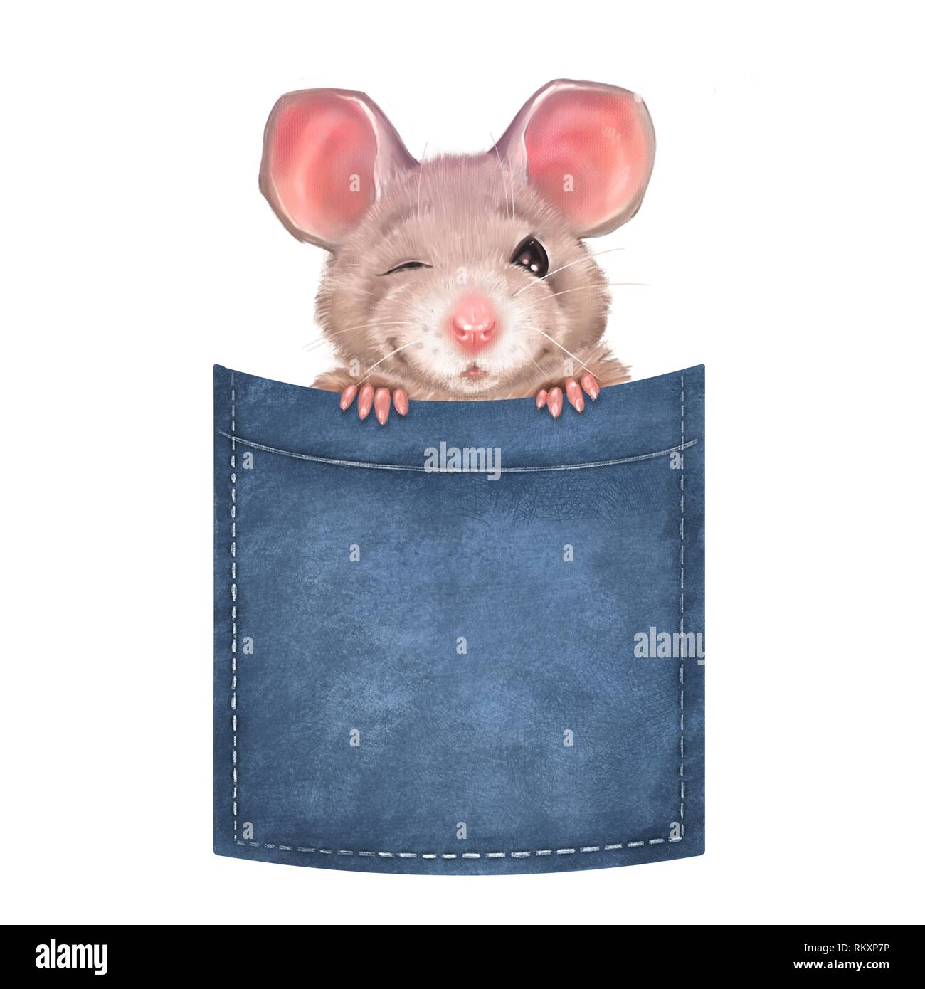 Cute mouse on pocket 2 Stock Photo