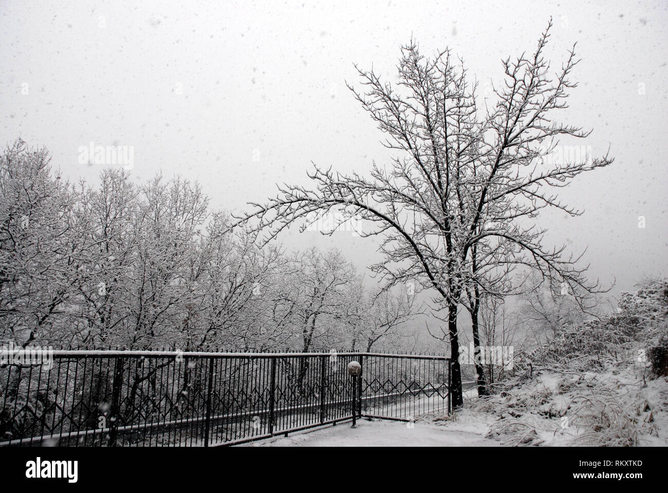 contrast of the snow on the branches of the trees in cold winter Stock ...
