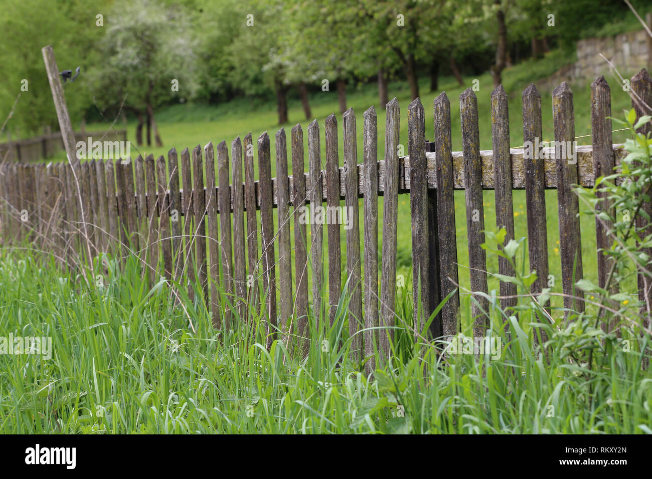 Fence from a wooden staple in the garden Stock Photo Alamy