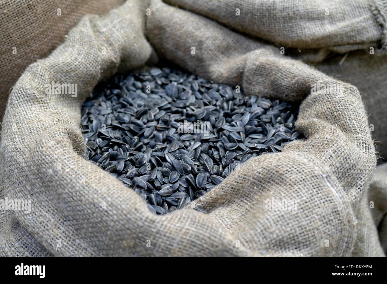Sunflower seeds in bags Stock Photo Alamy