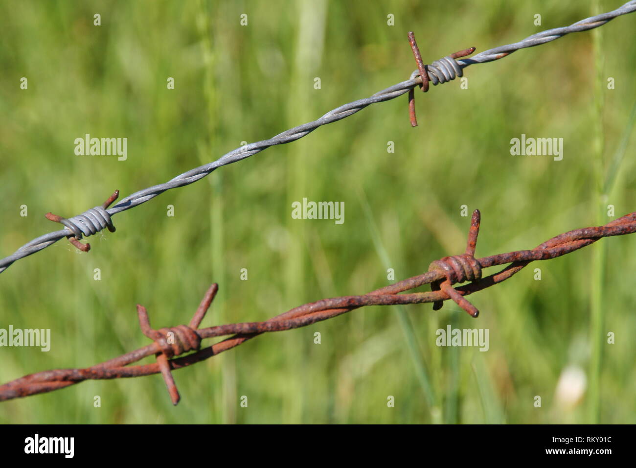 Barbed wire / rust and rusty barbed wire Stock Photo Alamy