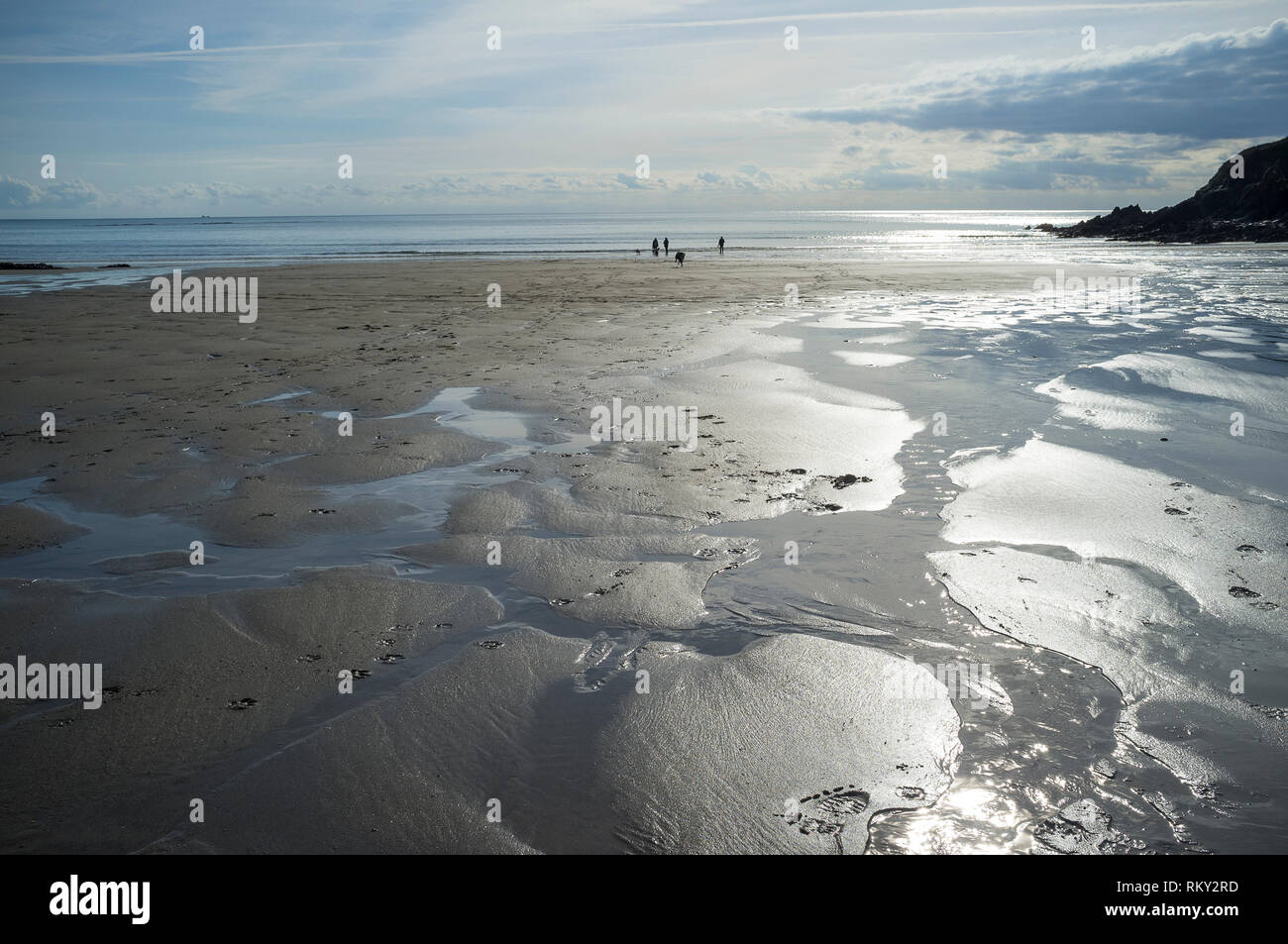 Silver sands at low tide on the River Erme Estuary at Wonwell Beach, Devon, UK. Stock Photo