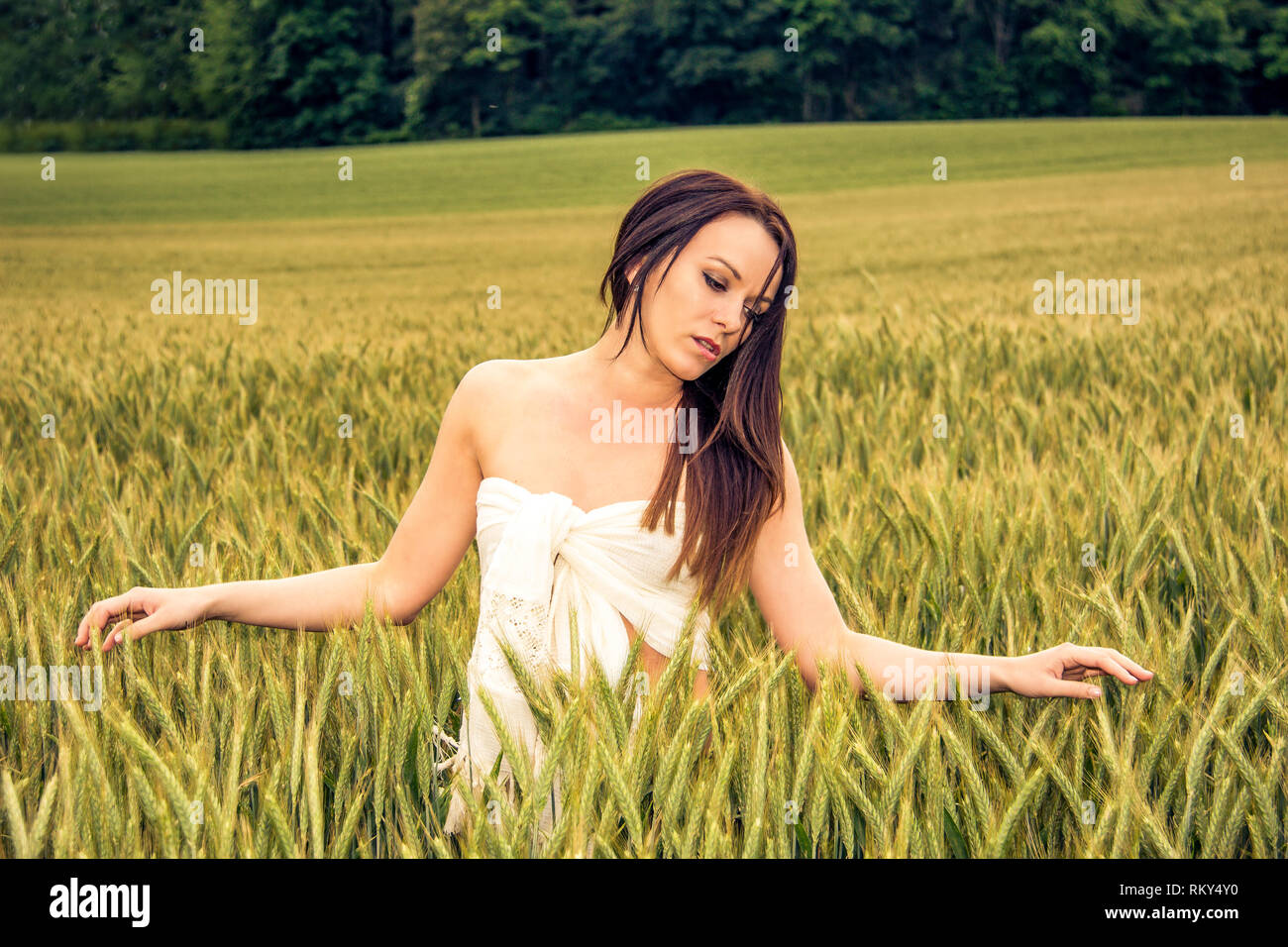 Girl in a wheat field Stock Photo - Alamy