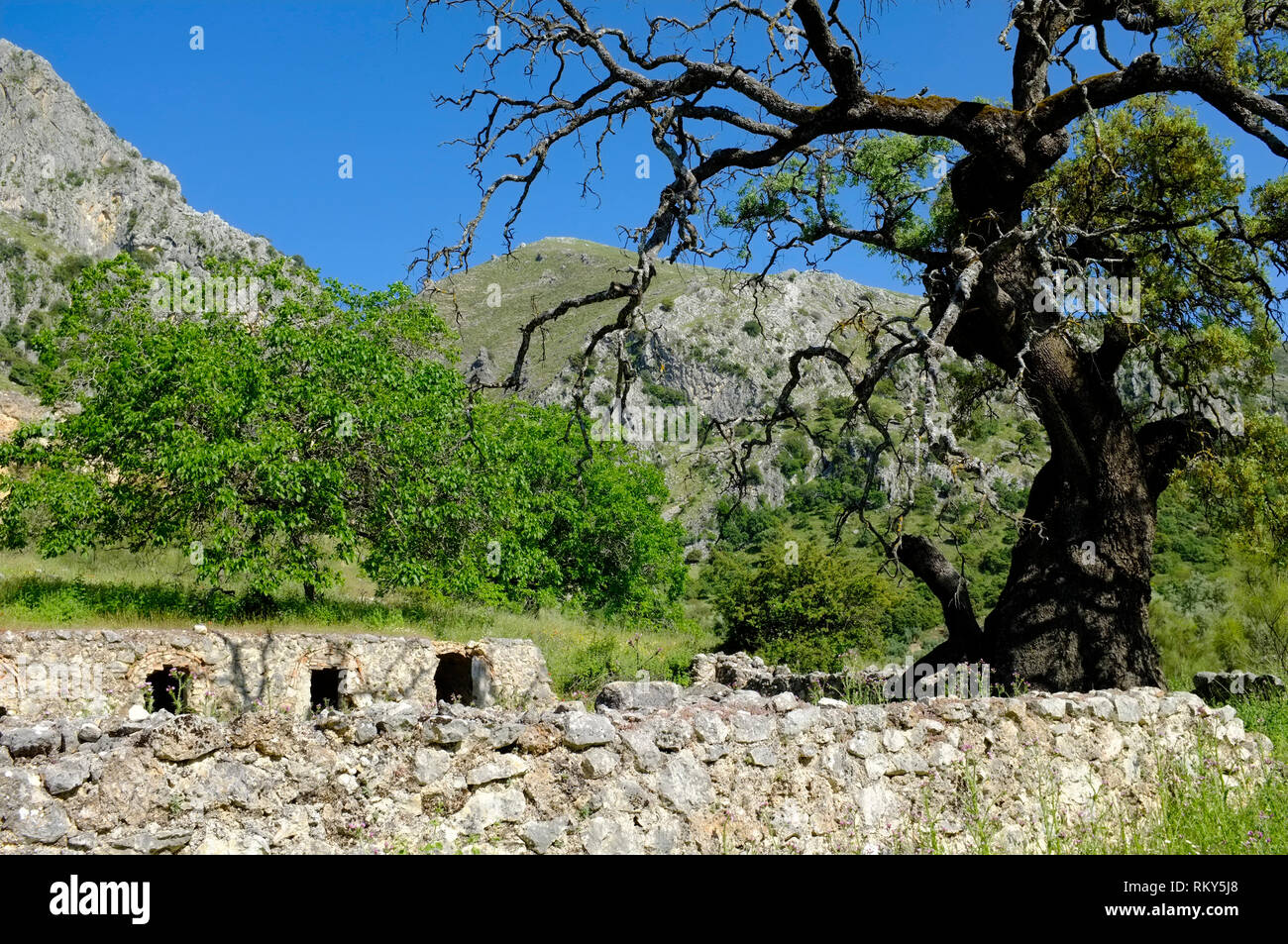A view of a traditional stone animal shelter and compound in the mountains of the Sierra Subbetica, Cordoba Province, Andalucia, Spain. Stock Photo
