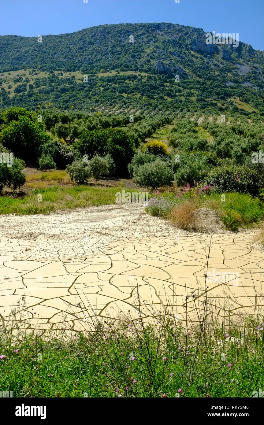 Cracked, dried-up pond, a result of drought in Spain, in the Sierra Subbetica, Cordoba Province, Andalucia, Spain. Stock Photo