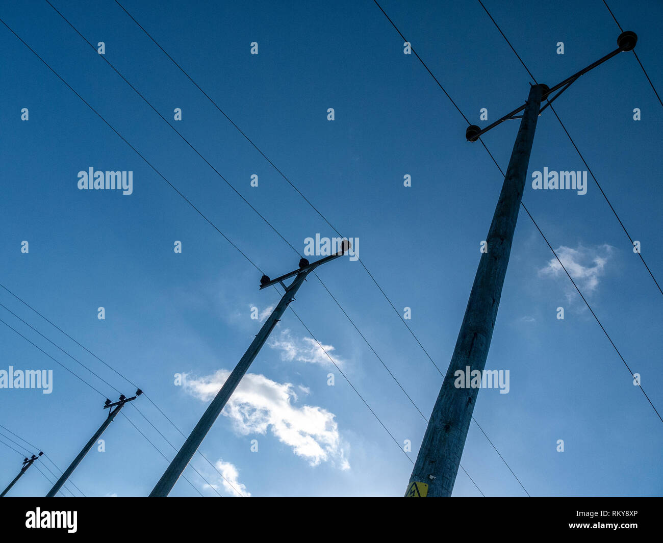 Overhead power cables in Cheshire UK Stock Photo Alamy