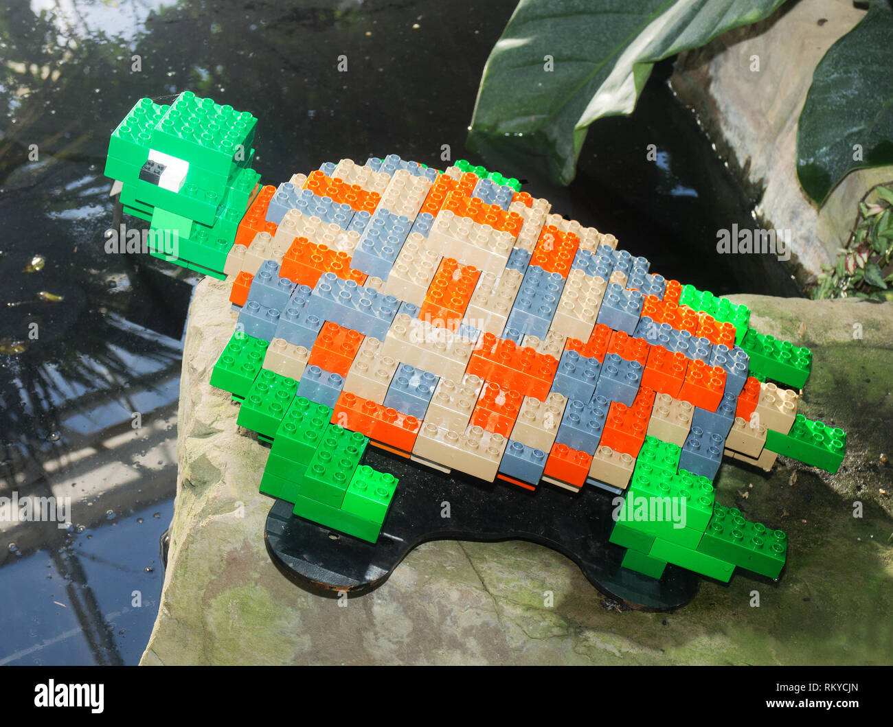A life-sized lego model of a turtle at 'The Great Brick Safari' 2019 at RHS  Wisley Garden, Surrey Stock Photo - Alamy