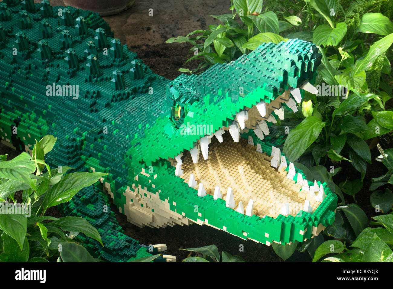 life-sized-lego-crocodile-at-the-great-brick-safari-2019-at-rhs-wisley-garden-surrey-RKYCJX.jpg