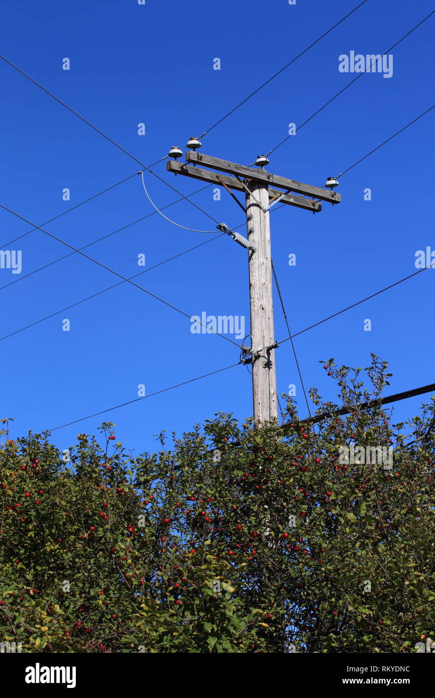 Quebec,Canada. A rural utility pole with power lines Stock Photo