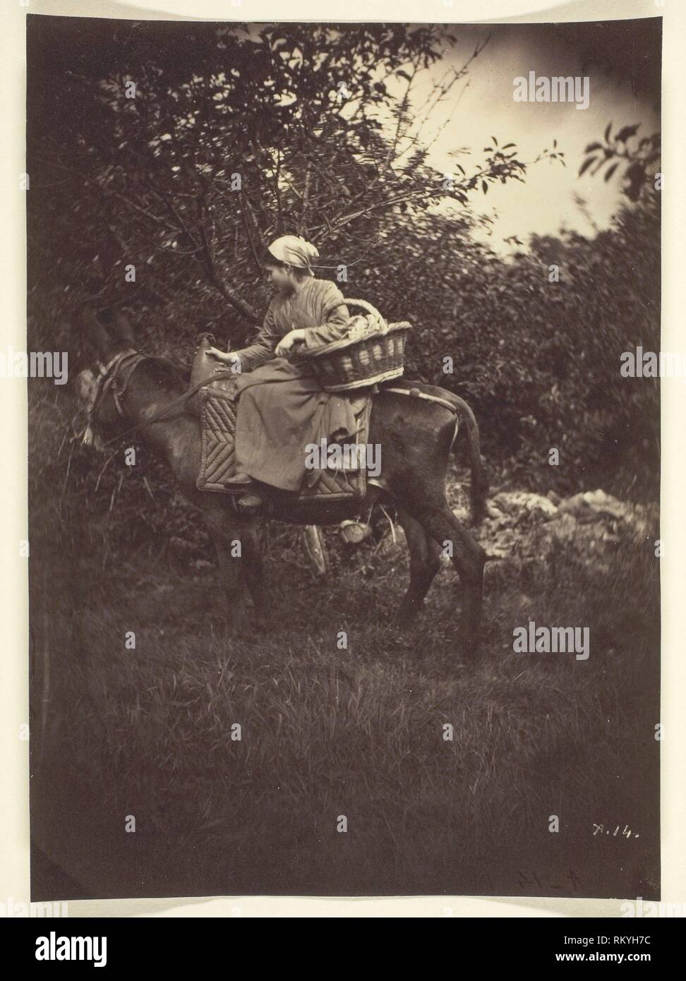 Female Peasant Riding Donkey 1870 Giraudon’s Artist French, active
