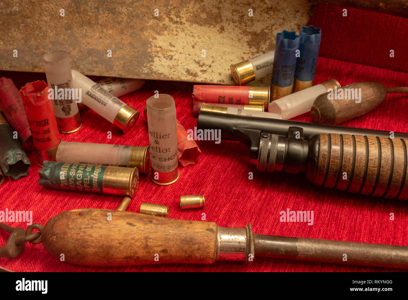 Ithaca .37 sawed-off shotgun with shells, The Mob Museum, Las Vegas (City of Las Vegas), Nevada, United States. Stock Photo