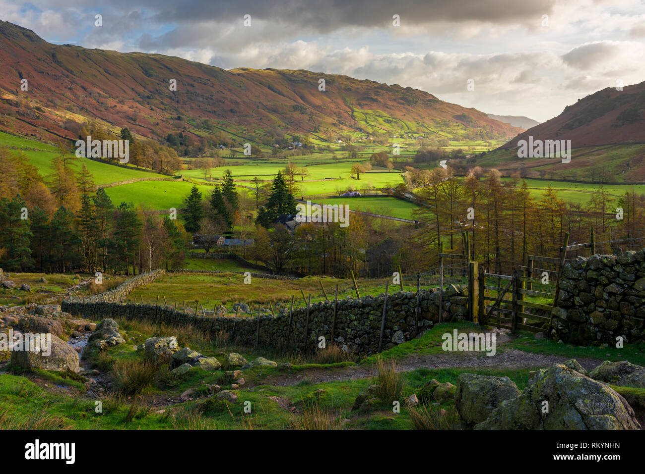Autumnal view of Langdale Valley towards Great Langdale in the Lake District National Park, Cumbria, England. Stock Photo