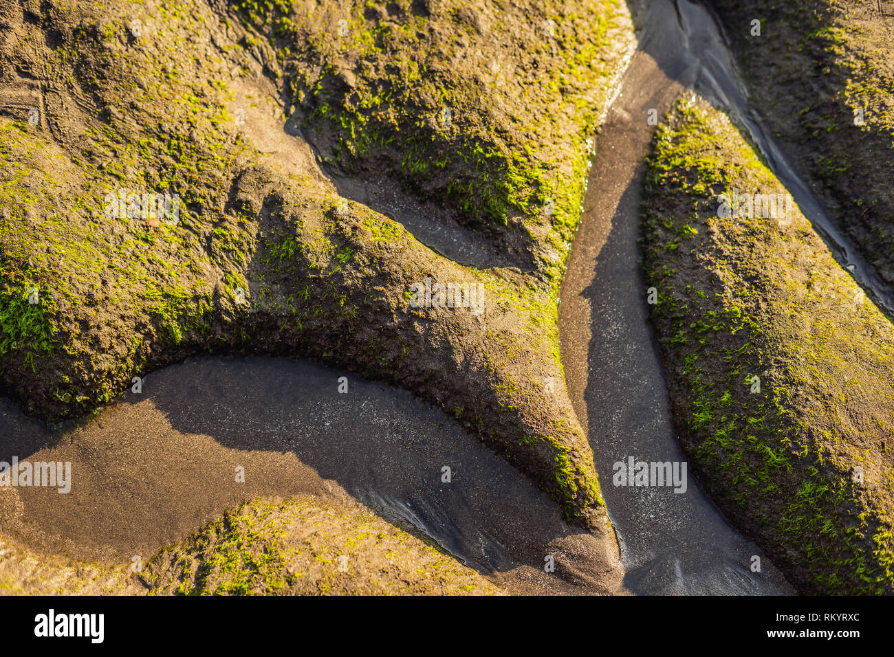 Sea tide on the mosscovered rocky beach, Bali, Indonesia Stock Photo