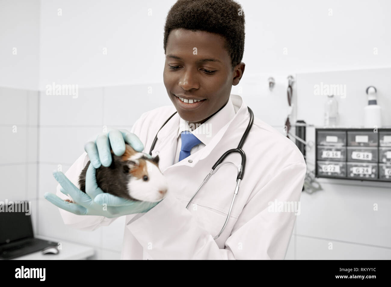 Young veterinarian wearing in white medical gown and gloves, working in clinic with animals. Kind african vet doctor holding hamster in hands, stroking animal and smiling. Stock Photo