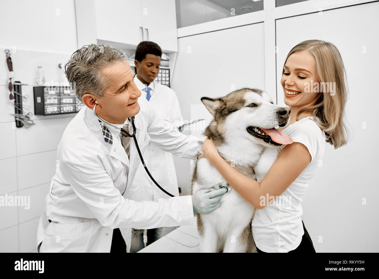 Happy woman, owner of malamute hugging dog and smiling, Mature doctor examining and diagnosing animal with stethoscope in private clinic. African assistant standing behind. Stock Photo