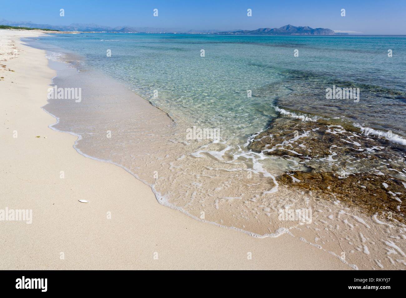 Son Real beach, Santa Margalida, Majorca, Balearic Islands, Spain Stock  Photo - Alamy