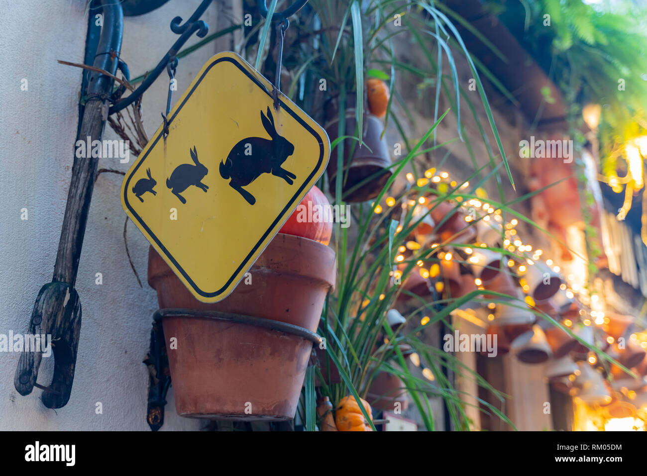Rabbit Logo High Resolution Stock Photography and Images - Alamy