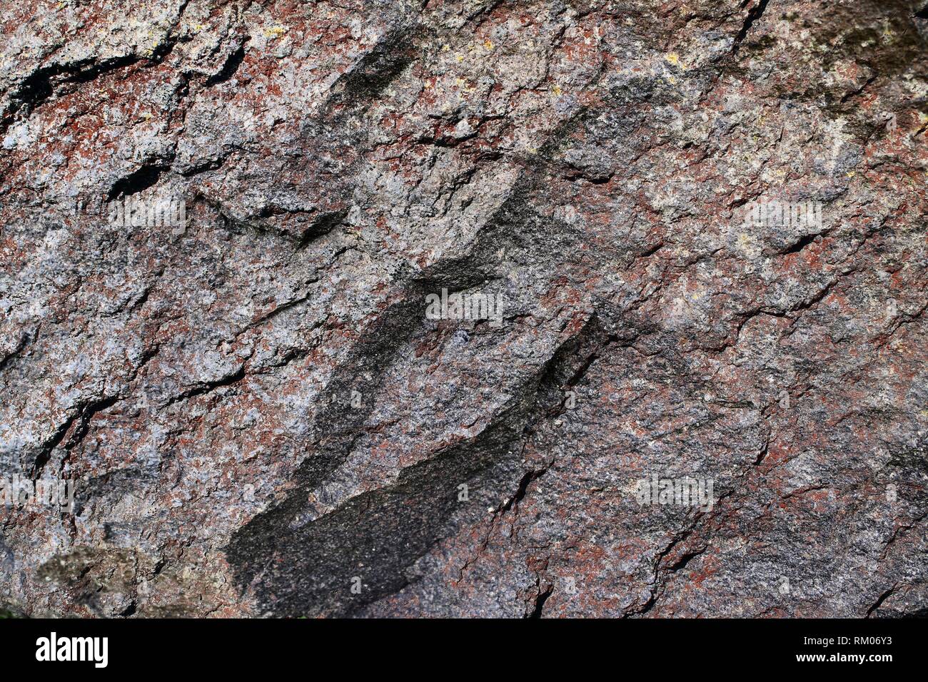 Close Up Of Granite Surfaces And Materials In High Resolution Stock 