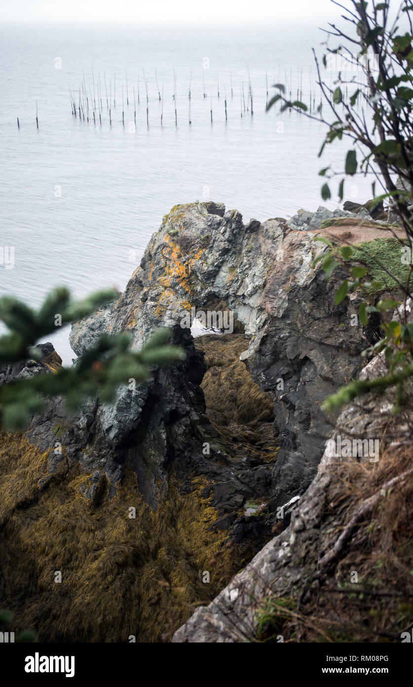 Hole in the wall in Whale Cove on Grand Manan Stock Photo Alamy