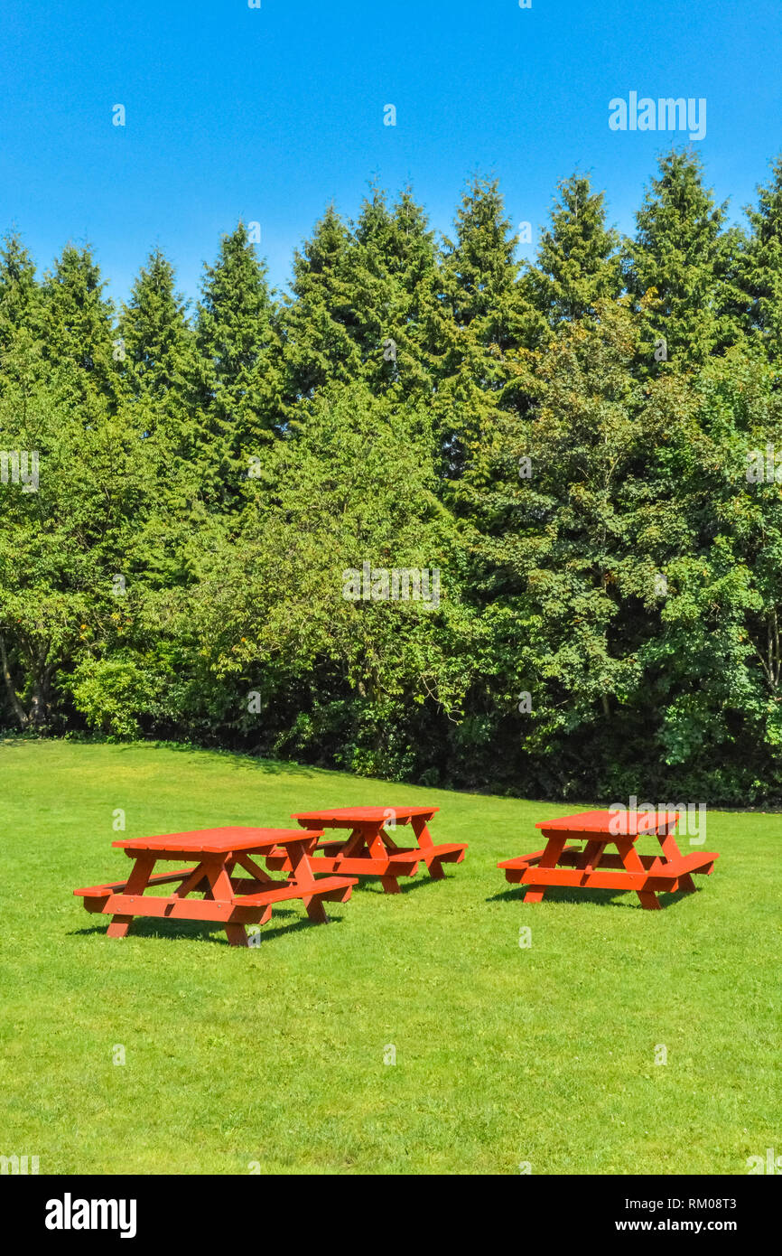 Rest area with red picnic tables on green lawn in a park Stock Photo