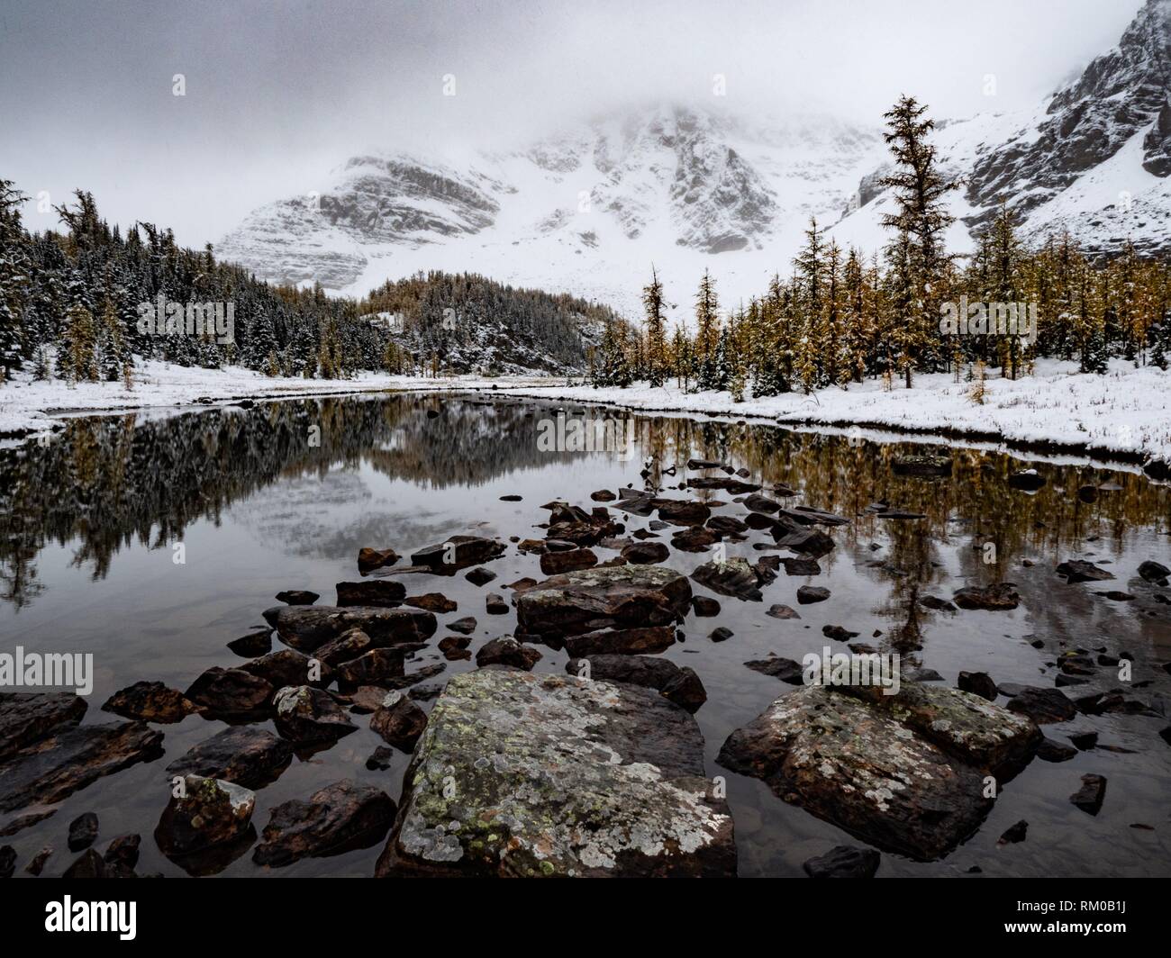 Canadian Rockies. Assiniboine Provincial Park.Winter. Stock Photo