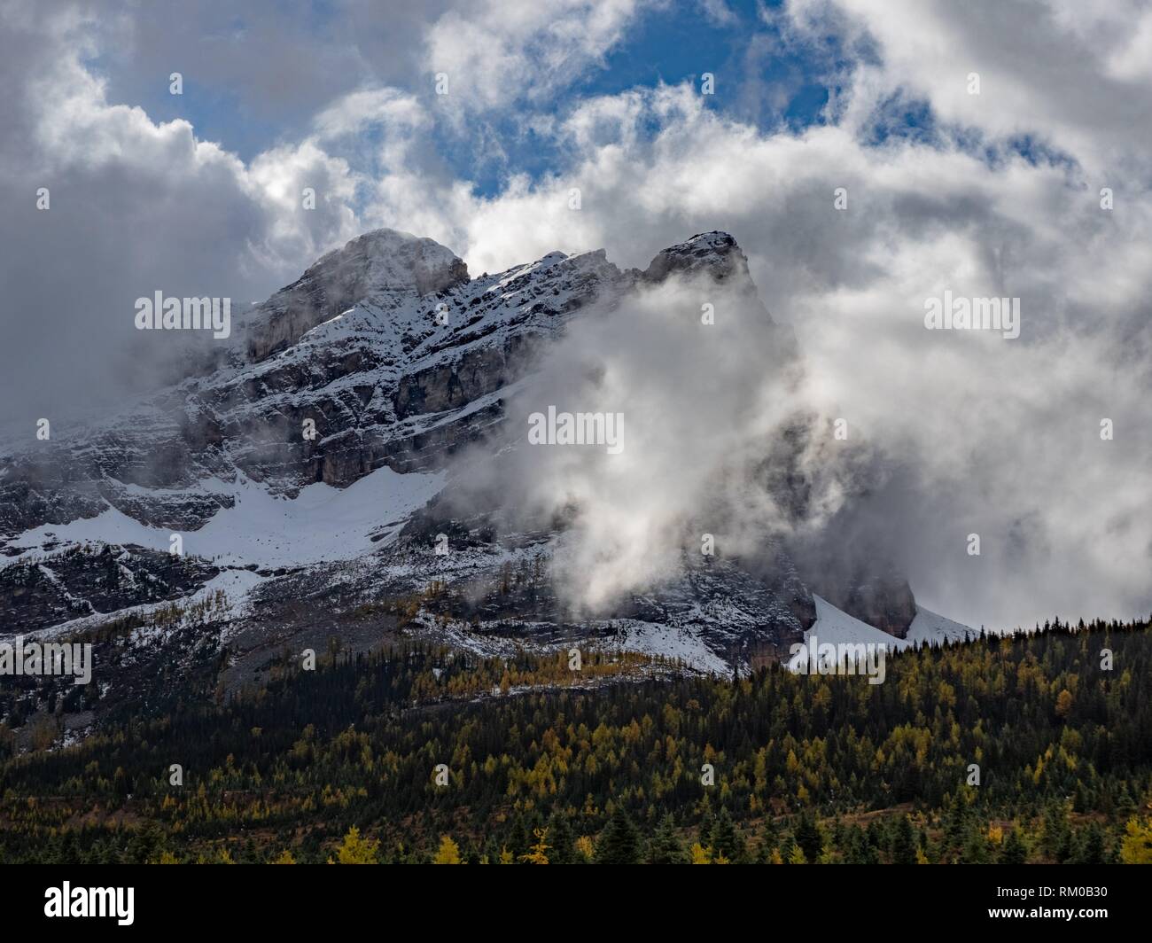 Canadian Rockies. Assiniboine Provincial Park. Fall Color Stock Photo Alamy