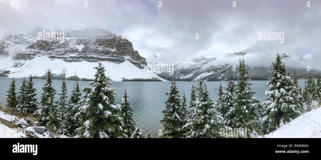 Canadian Rockies. Bow Lake. Stock Photo