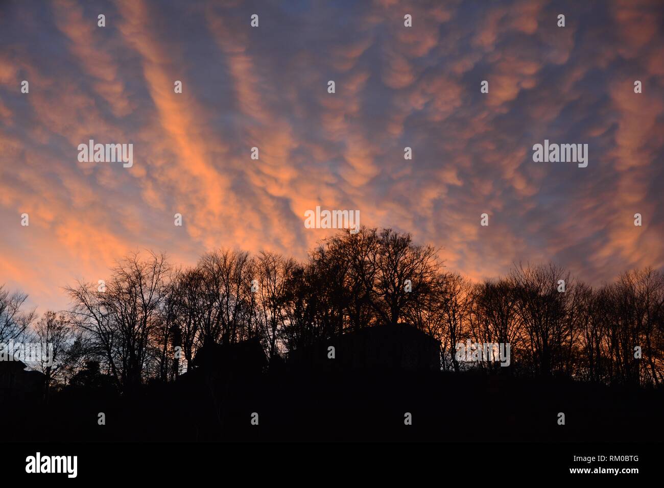 Trees and houses in silhouette at sunset with many clouds in the sky ...