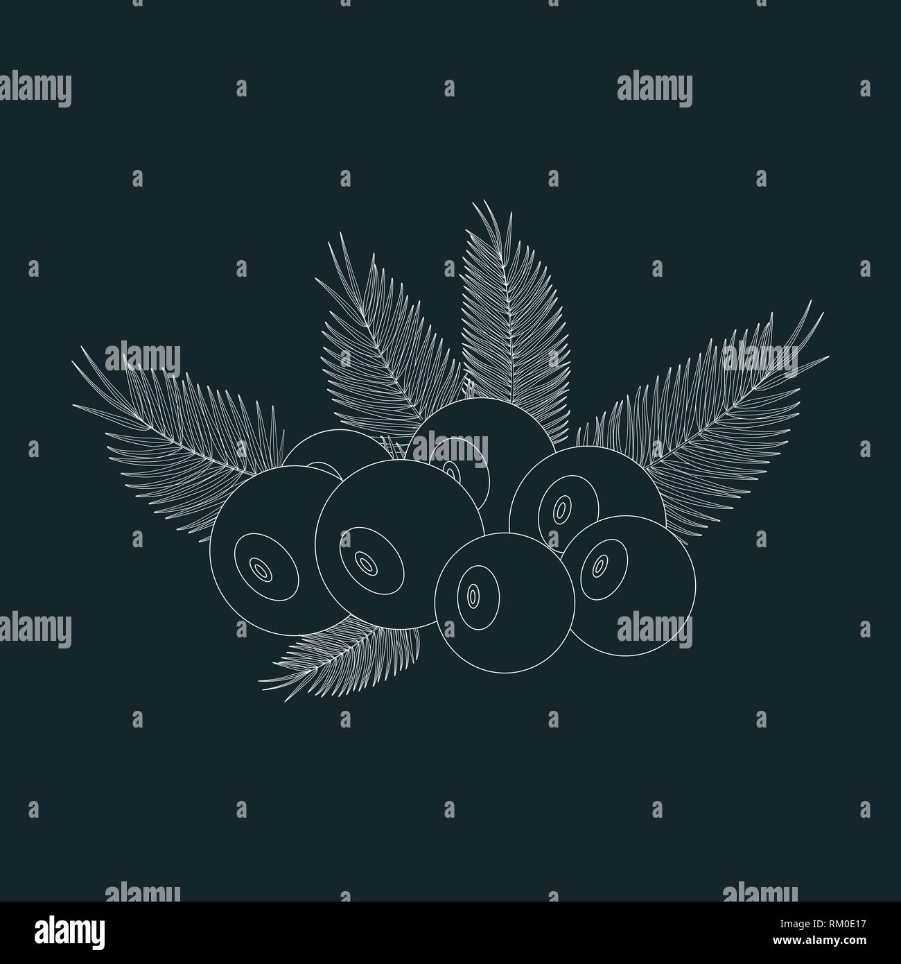 silhouette acai berry icon with palm leaves. vector illustration of eco ...