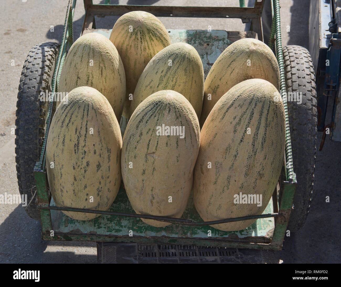 Fresh melon for sale hires stock photography and images Alamy