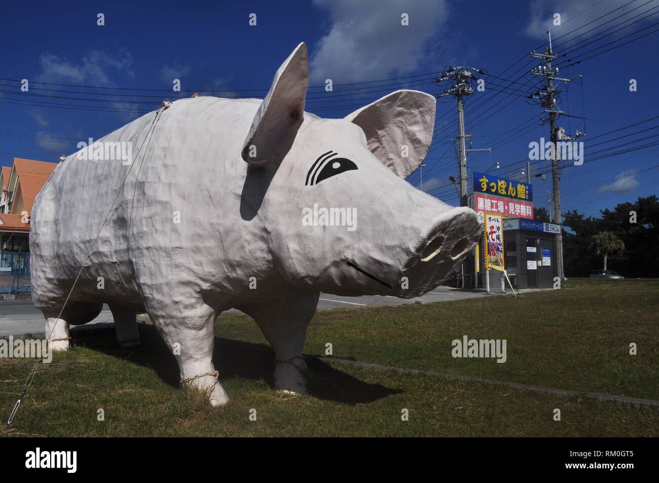 Okinawa, Japan: huge pig sculpture at the entrance of a farm Stock Photo