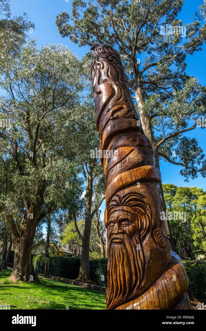 Trees at Mt. Dandenong, Melbourne, Australia Stock Photo Alamy