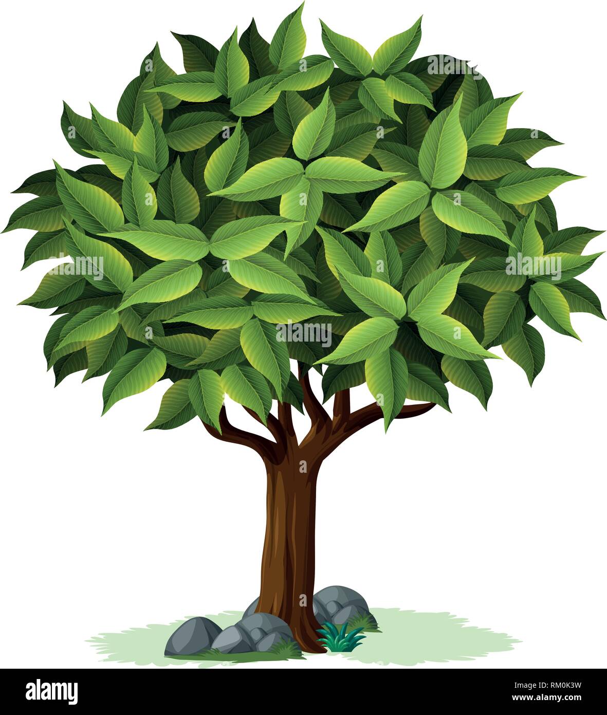 An isolated tree design illustration Stock Vector Image & Art - Alamy