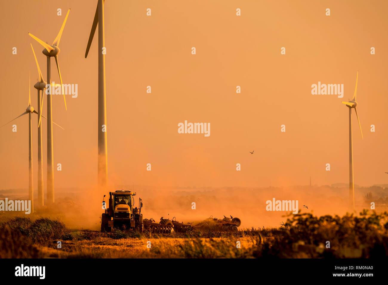 Tractor ploughing a field with a trail of dust behind in the setting sun. Stock Photo