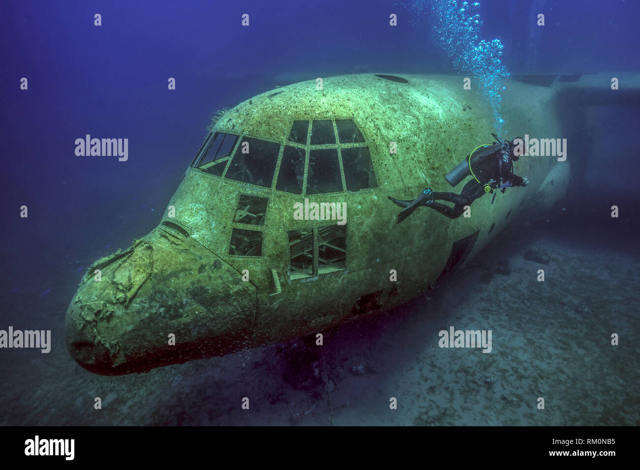A diver swims along the cockpit of a wrecked C-130 cargo plane in the waters of the Red Sea near Aqaba in Jordan. Stock Photo